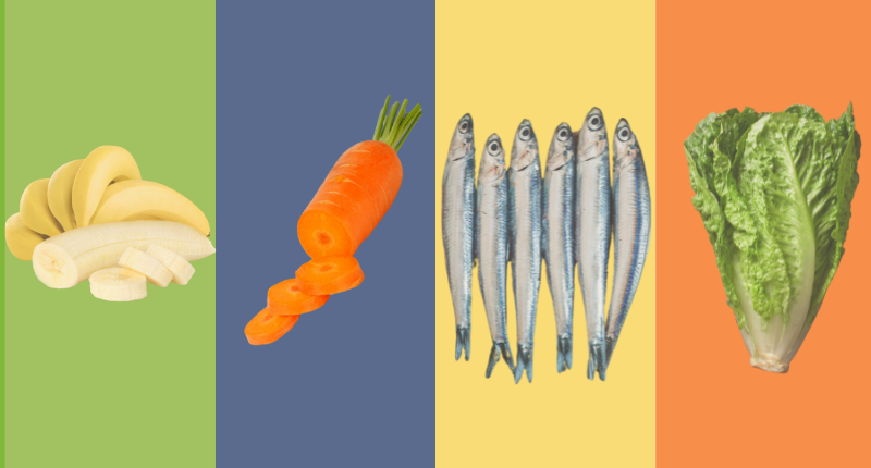 alimentos verano