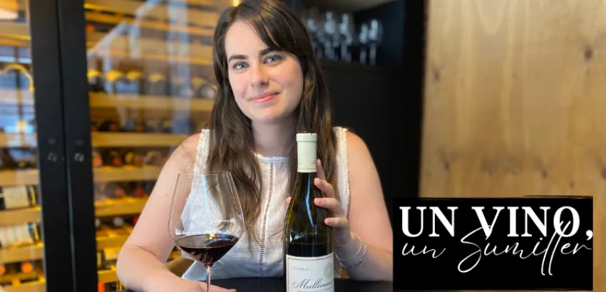 Un Vino, Un Sumiller: Mullineux 2022 por Marta Hernández Un Vino, Un Sumiller: Mullineux 2022 por Marta Hernández
