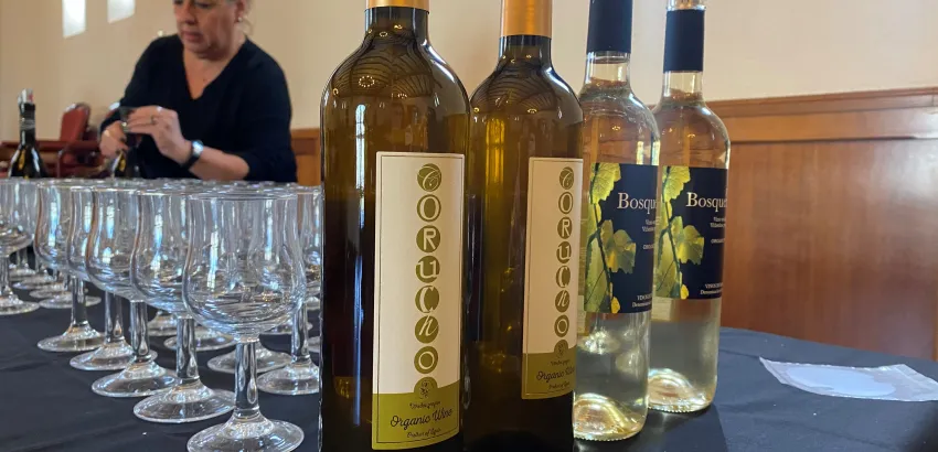 vinos blancos vinos blancos