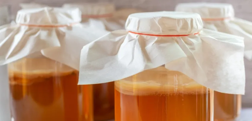 kombucha de vino