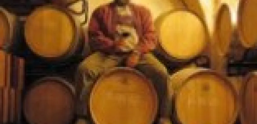 Vinos escondidos en zonas poco reconocidas Vinos escondidos en zonas poco reconocidas
