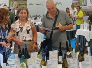 XI Edición del Túnel del Vino