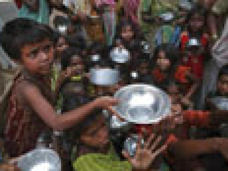 La FAO dedicará más de mil millones de dólares para combatir el hambre