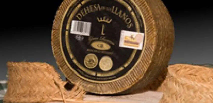 Un manchego es seleccionado como 'Mejor Queso del Mundo' Un manchego es seleccionado como 'Mejor Queso del Mundo'