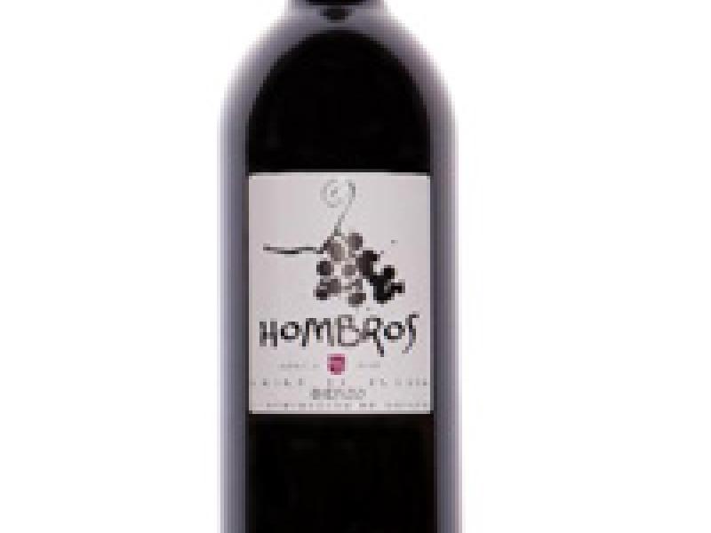 Hombros 2008, un Bierzo Medalla de Oro en Mundus Vini 2011
