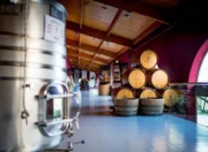 Las Bodegas de Grupo Matarromera ofrecerán actividades especiales por el Día Europeo del Enoturismo