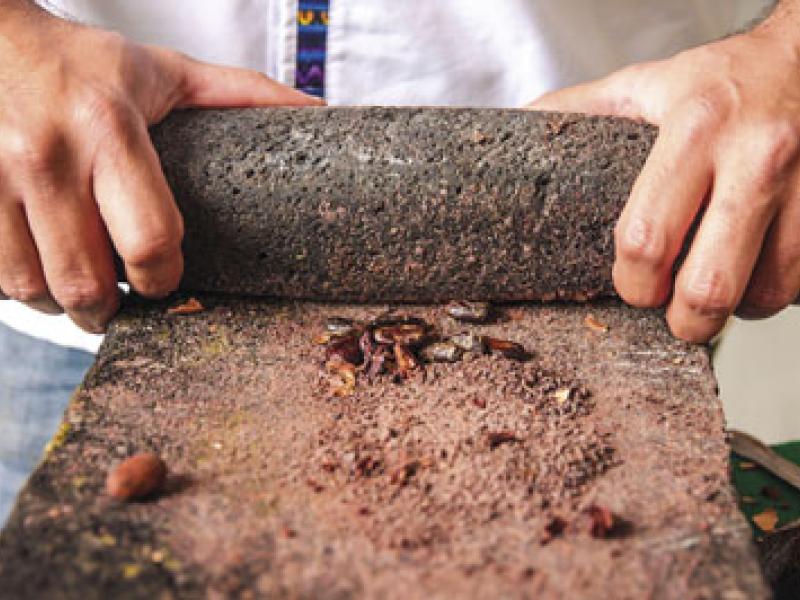 “Bean to bar”, del “grano a la tableta”