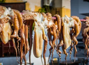 El pulpo gallego en peligro: caída de capturas y precios al alza