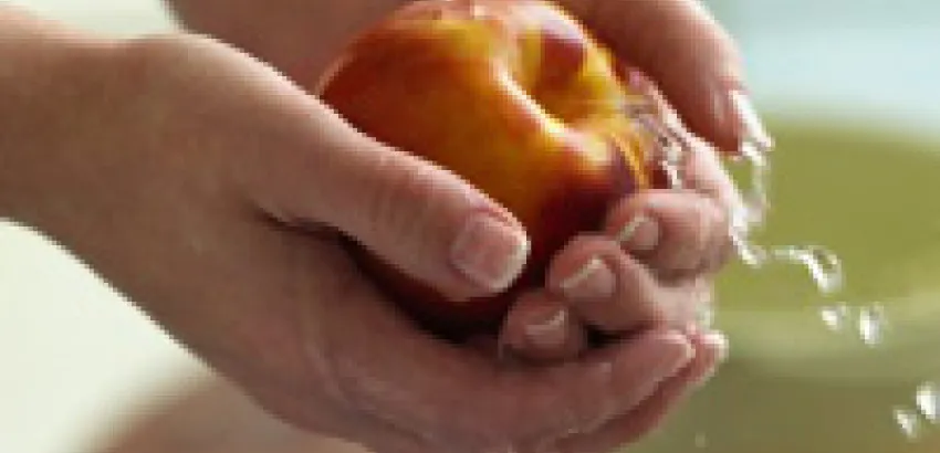 Errores más frecuentes en la higiene de la cocina y los alimentos