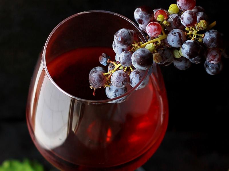 The Wine Edition-Madrid-Fusion