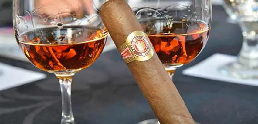Un balcón que se asoma a la excelencia Un balcón que se asoma a la excelencia