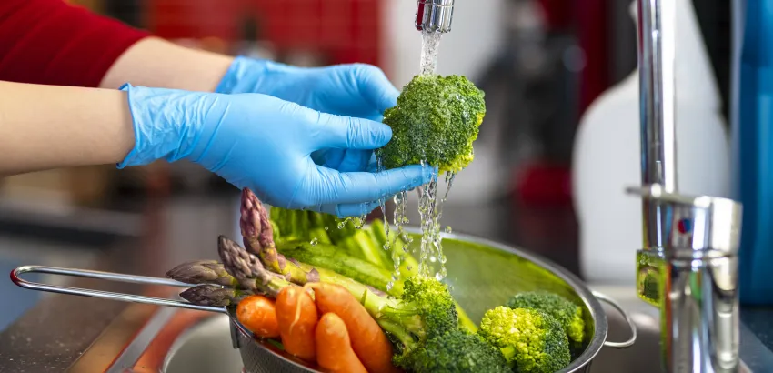 Inocuidad-alimentos