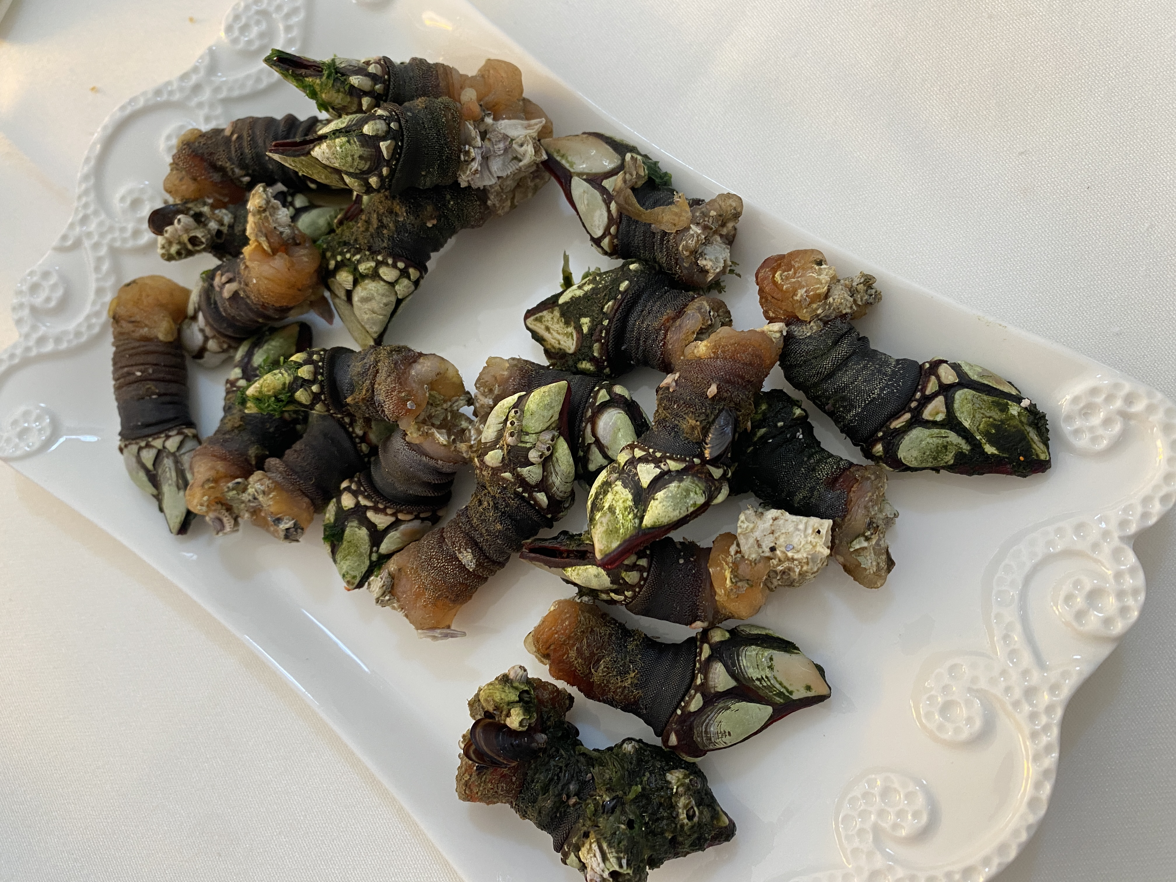 percebes