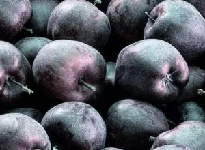 manzana negra