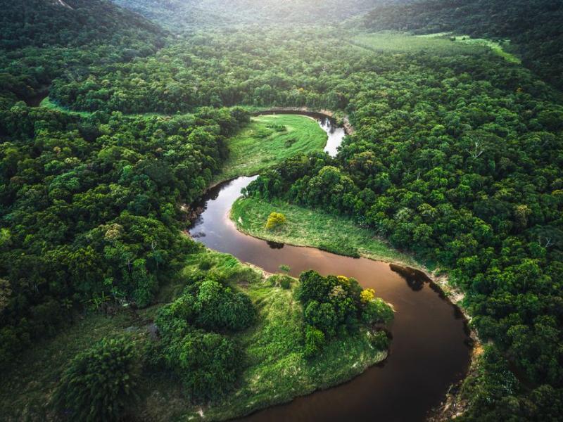 Amazonas