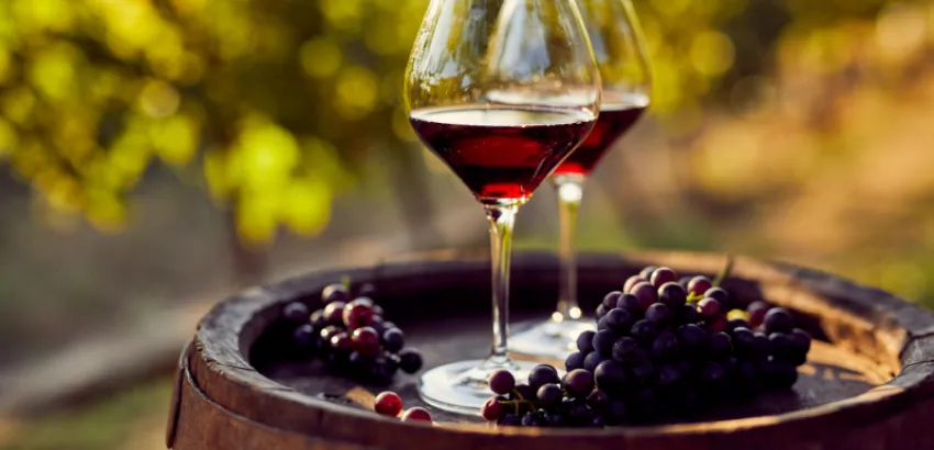 ¿Hablan los vinos de forma clara o solo elegante? copas de vino