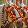 Gastronomía en la Feria del Caballo de Jerez