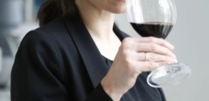 Vinos biodinámicos, el resultado del respeto Vinos biodinámicos, el resultado del respeto