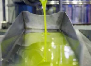 Los aceites alcanzan los 55 millones