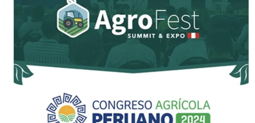 Summit & Fest Summit & Fest