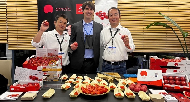 Amela