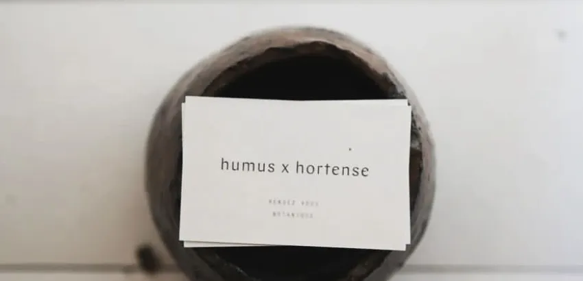 Humus Humus