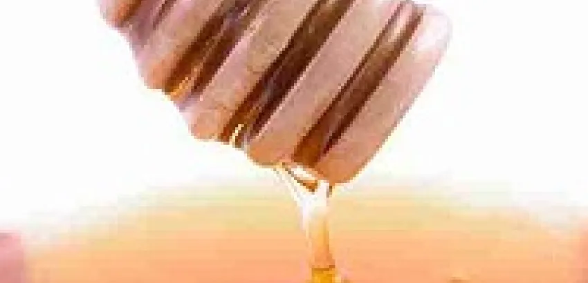 La miel es uno de los tesoros de la gastronomía La miel es uno de los tesoros de la gastronomía