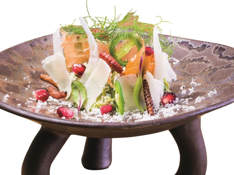 Punto MX-restaurante-plato
