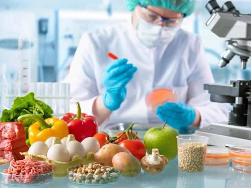 ciencia-cocina