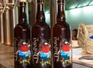 Bierwinkel presenta en el Hotel Westin, Diabolici, la primera que se viste de celebración fallera