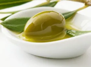 La actual campaña de aceite de oliva en España bate todos los récords