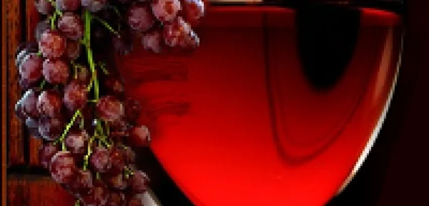 España bate un récord de exportación de vino en 2011 España bate un récord de exportación de vino en 2011