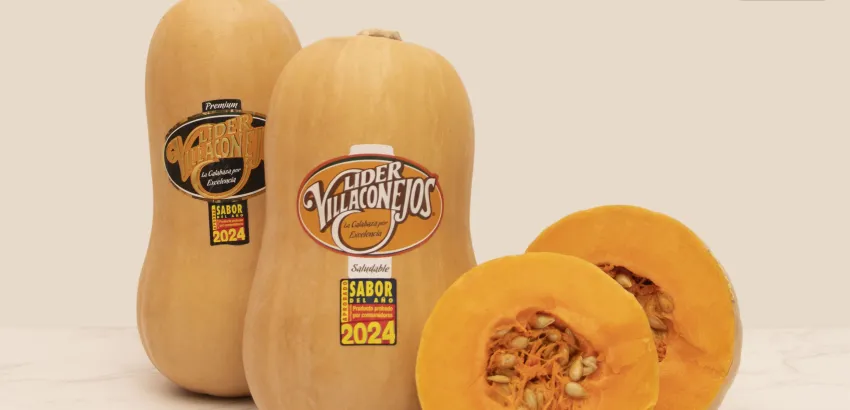 calabaza calabaza