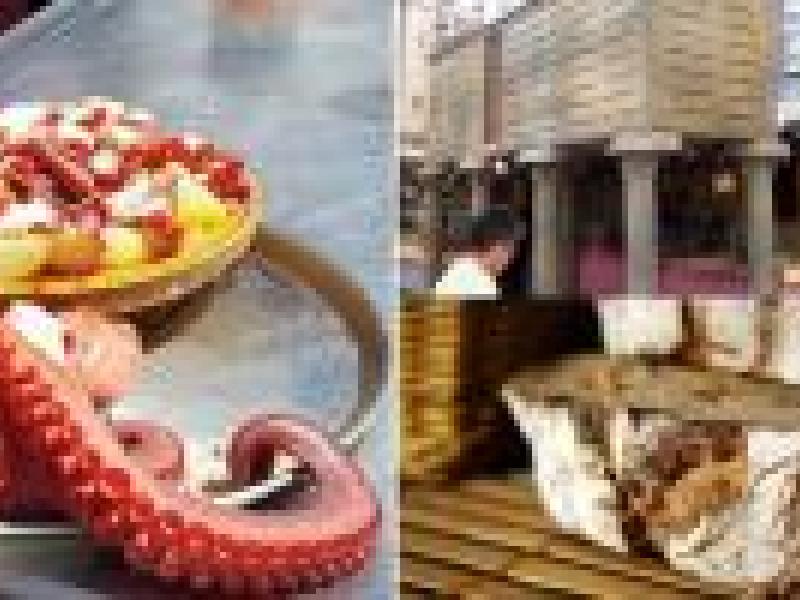I Semana Gallega de Avilés