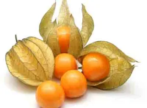 Aguaymanto: la Superfruta de los Incas