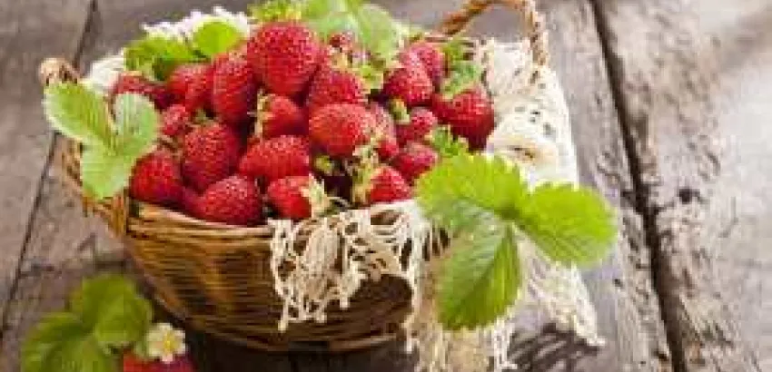 Trucos para cocinar con fresas Trucos para cocinar con fresas