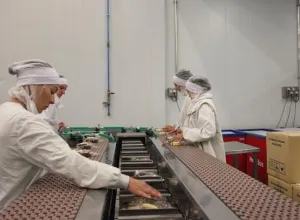 Helados Estiu factura 42 millones de euros en 2015