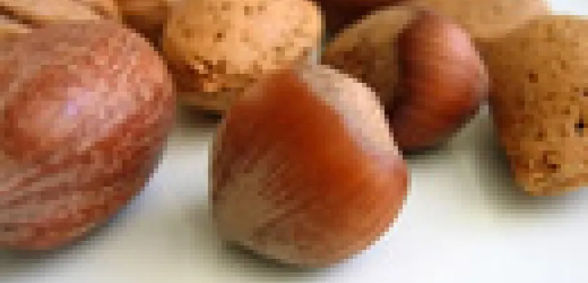 La ingesta diaria de frutos secos reduce el riesgo de diabetes La ingesta diaria de frutos secos reduce el riesgo de diabetes