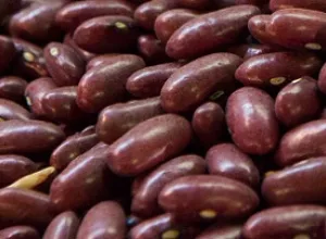 Las legumbres, un beneficio redondo para los huéspedes