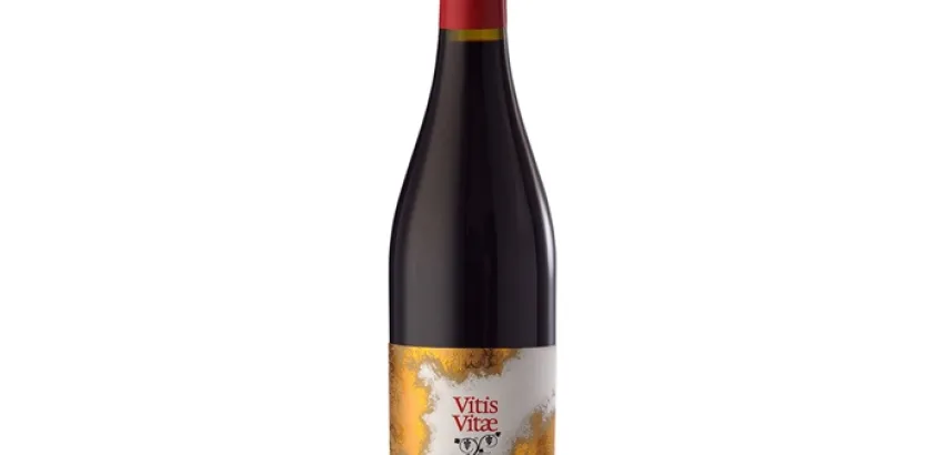 Un productor italiano crea el vino más sano del mundo Un productor italiano crea el vino más sano del mundo