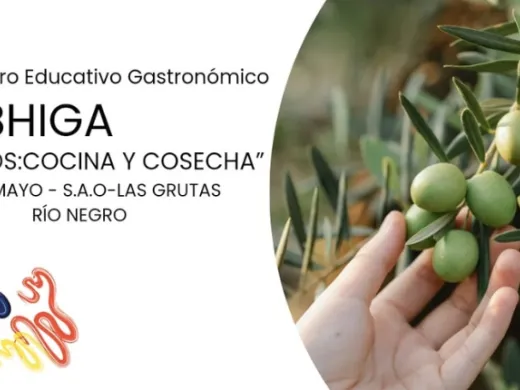 convocatoria Olivos: cocina y cosecha
