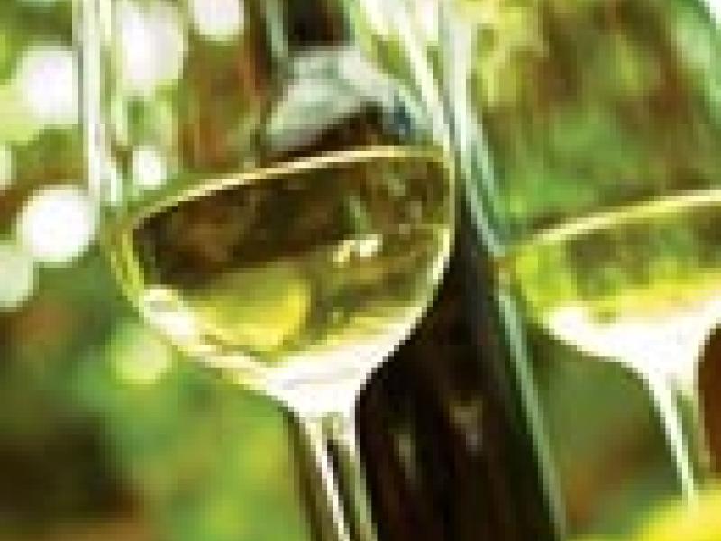 México: Producción nacional de vino debe llegar a 23 millones de cajas en 2025