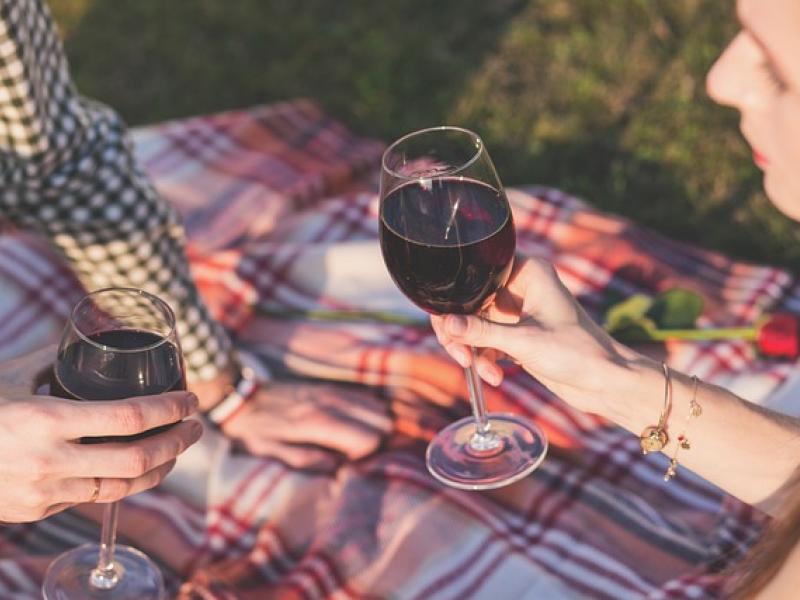 vinos 