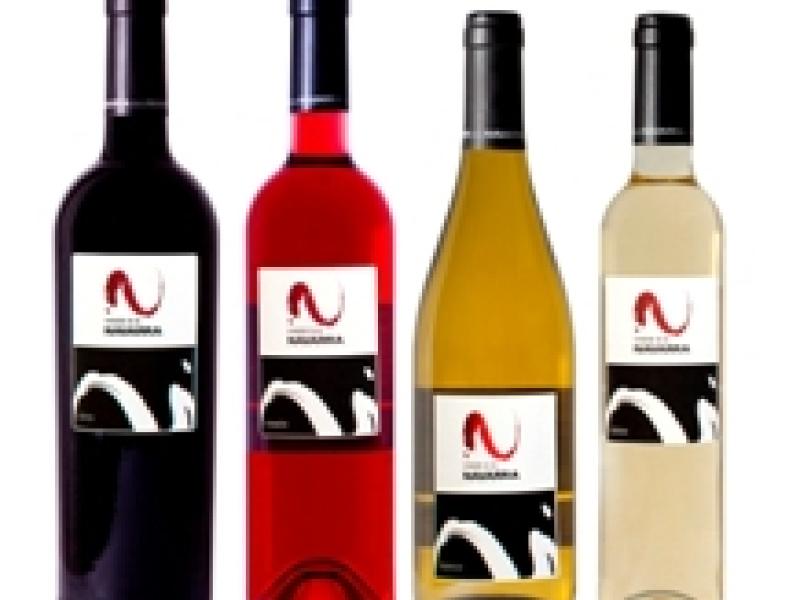 La D.O. Navarra cierra el año en positivo
