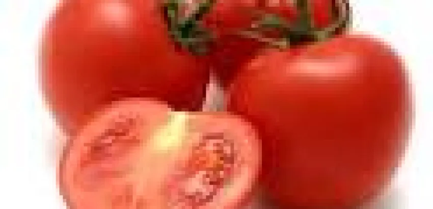 La revolución roja del licopeno, presente en el zumo de tomate La revolución roja del licopeno, presente en el zumo de tomate