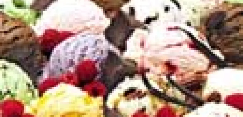 Una heladería de Venezuela ofrece 860 sabores distintos Una heladería de Venezuela ofrece 860 sabores distintos