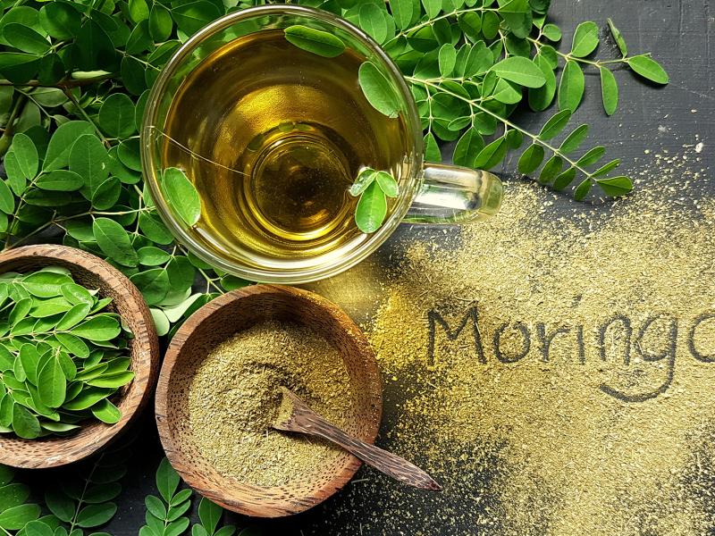 reto moringa-2017-barritas-energéticas-de-moringa