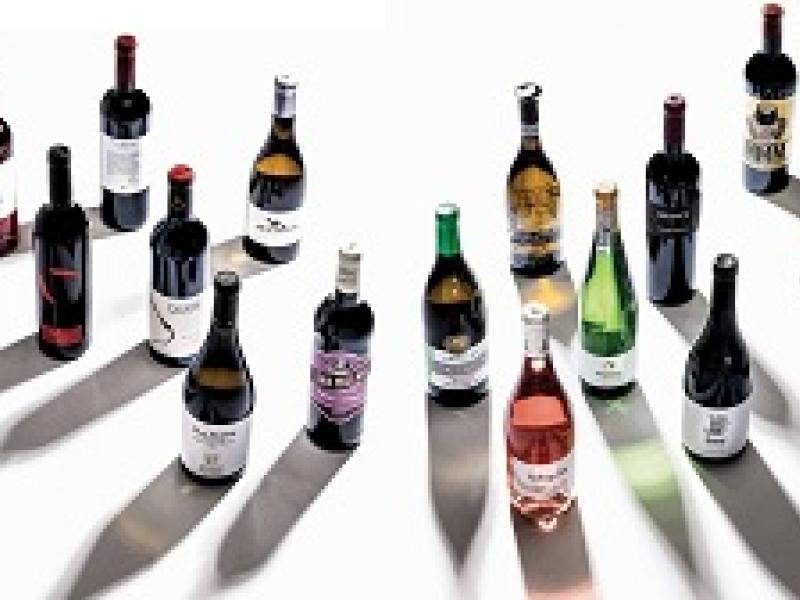 La vuelta a España en 15 vinos