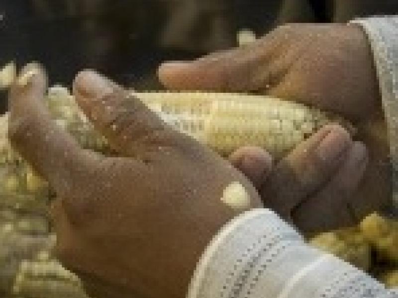 América Latina aspira a convertirse en la mayor proveedora de alimentos del mundo