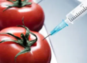 El Parlamento Europeo respalda el derecho de los países a prohibir el cultivo de transgénicos